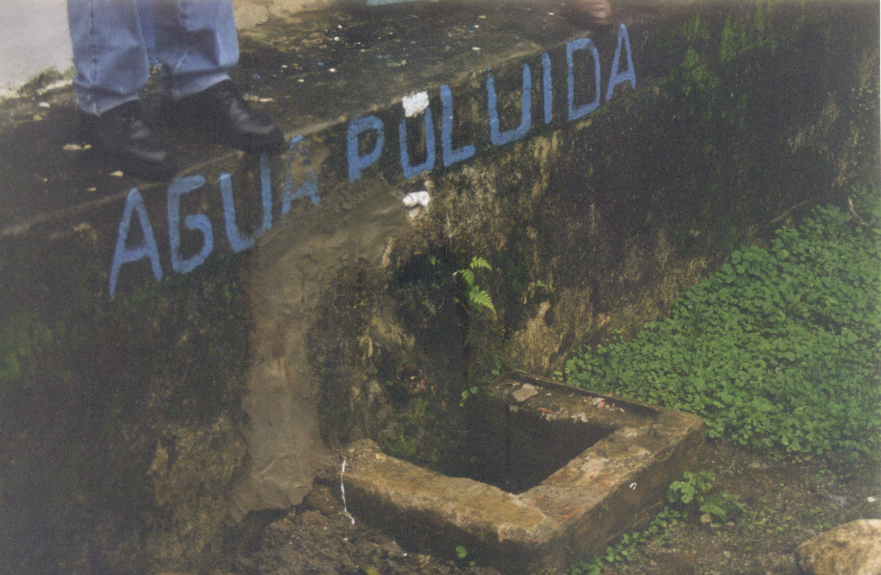 Fonte do Carioca - Antonina (sem data)
