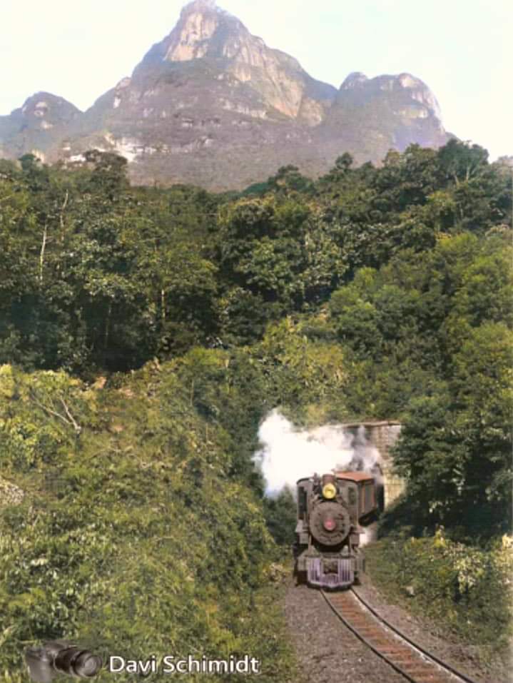Serra do Mar - 17-I (sem data)