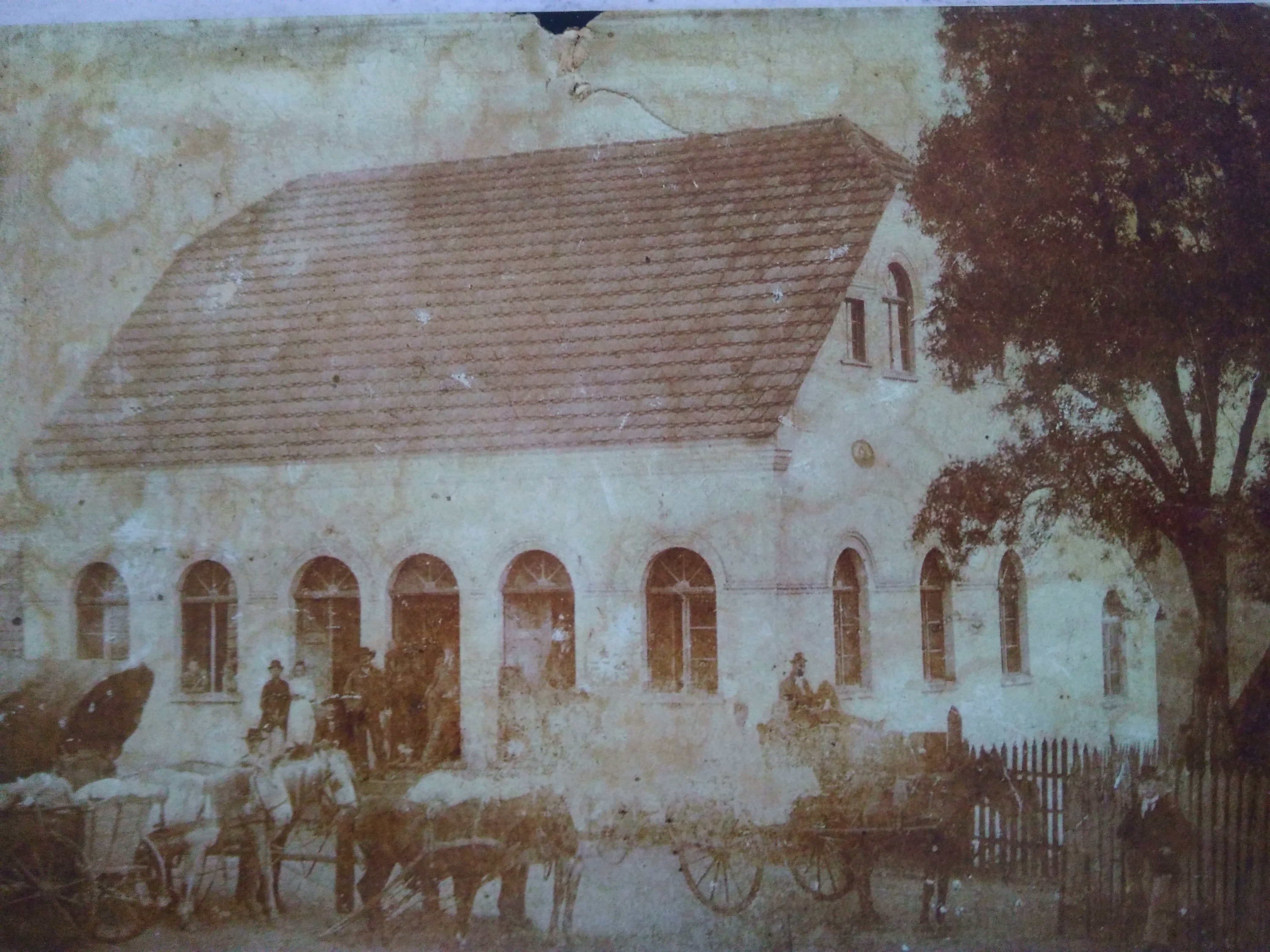 Casa do Cavalo Baio