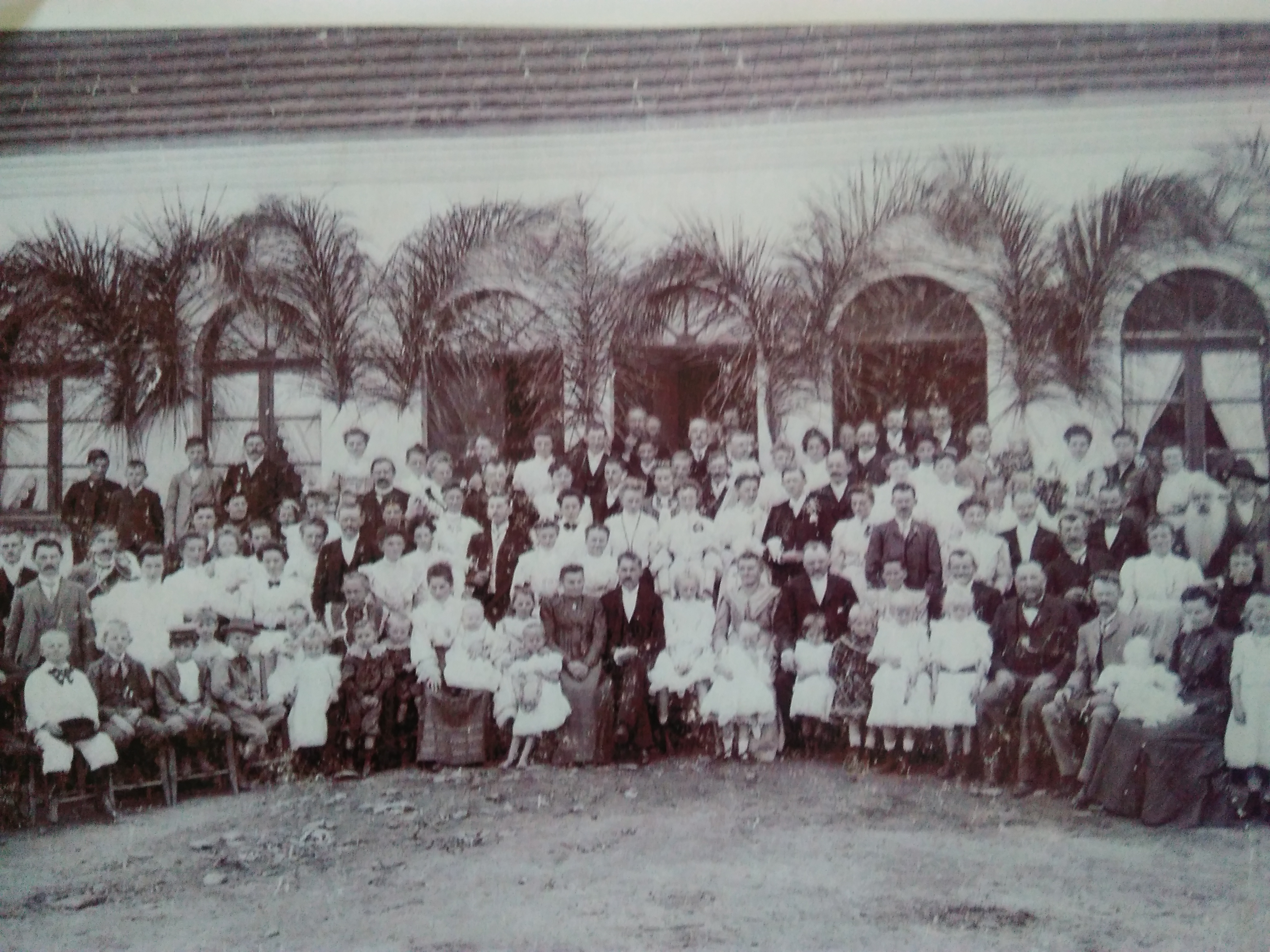 Casa do Cavalo Baio