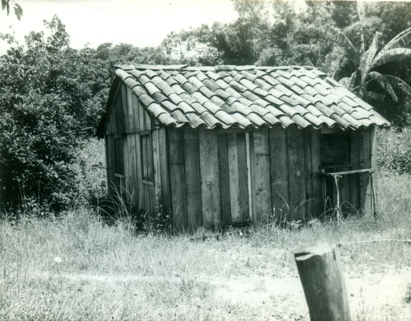Casinha abandonada - Ponta Oeste - Ilha do Mel (1980)