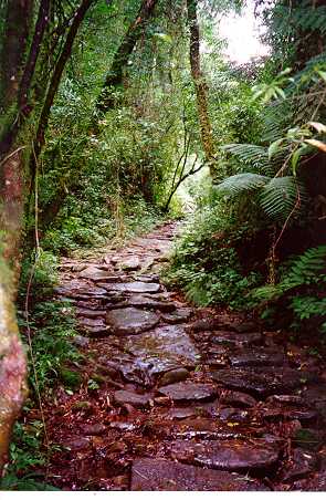 Serra do Mar