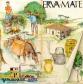 A Erva Mate e o Parque Histórico do Mate