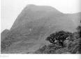Página do Livro Tombamento da Serra do Mar