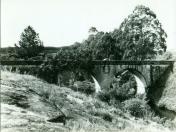 Ponte dos Papagaios