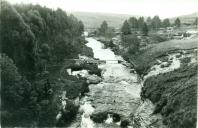 Ponte dos Papagaios