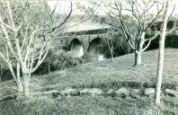 Ponte dos Papagaios