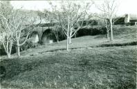 Ponte dos Papagaios
