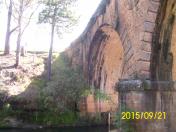 Ponte dos Papagaios
