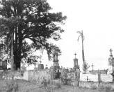 Capela de Nossa Senhora da Conceição de Tamanduá