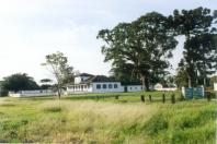 80-II Fazenda Capão Alto - Castro