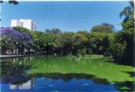 22-I Passeio Público - Curitiba