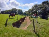 Geossítio Pinheiro de Pedra (2026)