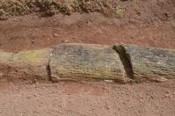 Geossítio Pinheiro de Pedra (2026)