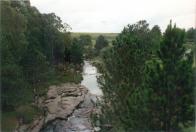 Ponte dos Papagaios 