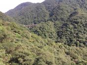 Serra do Mar