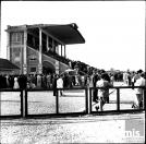 155II: Joquei Clube do Paraná - Curitiba