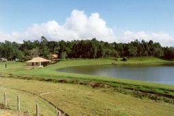 Antigo Engenho de Mate da Rondinha - Campo Largo