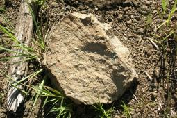 Sítio Geológico Cratera de Impacto de Vista Alegre - Coronel Vivida