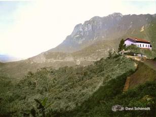Serra do Mar - 17-I (sem data)