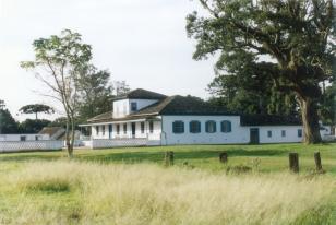 80-II Fazenda Capão Alto - Castro