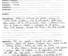 Paisagem Urbana do trecho da Praça Osório, Avenida Luís Xavier, Rua XV de Novembro e Praça Santos Andrade - Curitiba - Livro Tombo I - Inscrição 5 - Página 5