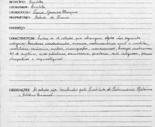 Coleções etnográficas, arqueológicas e artísticas do Museu Paranaense - Curitiba