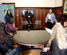 Marcas da história: Pinturas Decorativas da Casa Gomm