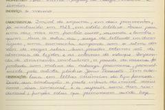 Imóvel situado à Rua Coronel Manoel Alves Cordeiro, 274 - Piraquara -  Livro Tombo II - Inscrição 157 - Página 149