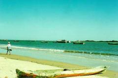 Ilha do Superagüi - Guaraqueçaba