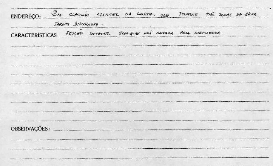 Árvore Paineira - Curitiba - Livro Tombo I - Inscrição 8 - Página 8