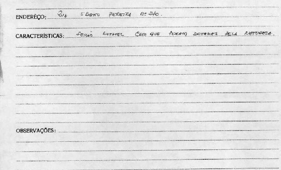 Árvore Tipuana - Quatro Árvores - Curitiba - Livro Tombo I - Inscrição 12 - Página 12