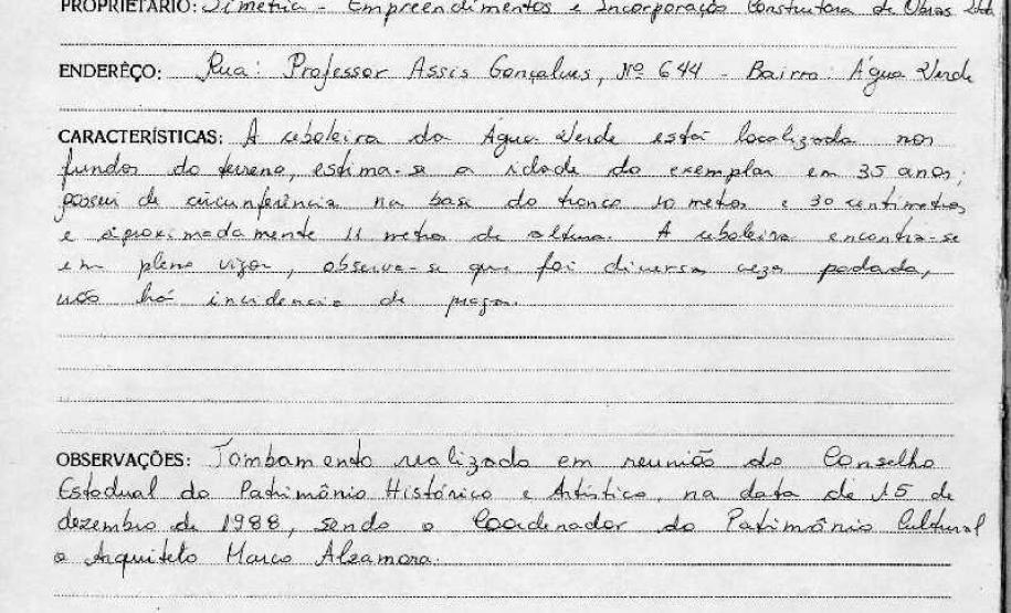 Árvore Ceboleira - Curitiba - Livro Tombo I - Inscrição 20 - Página 20