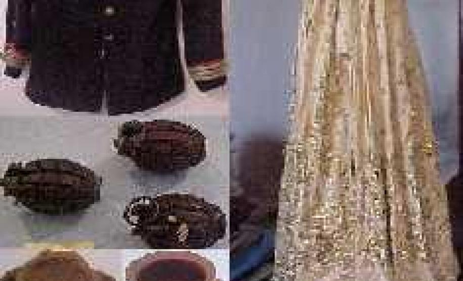 Coleção do Museu Coronel David Carneiro - Curitiba