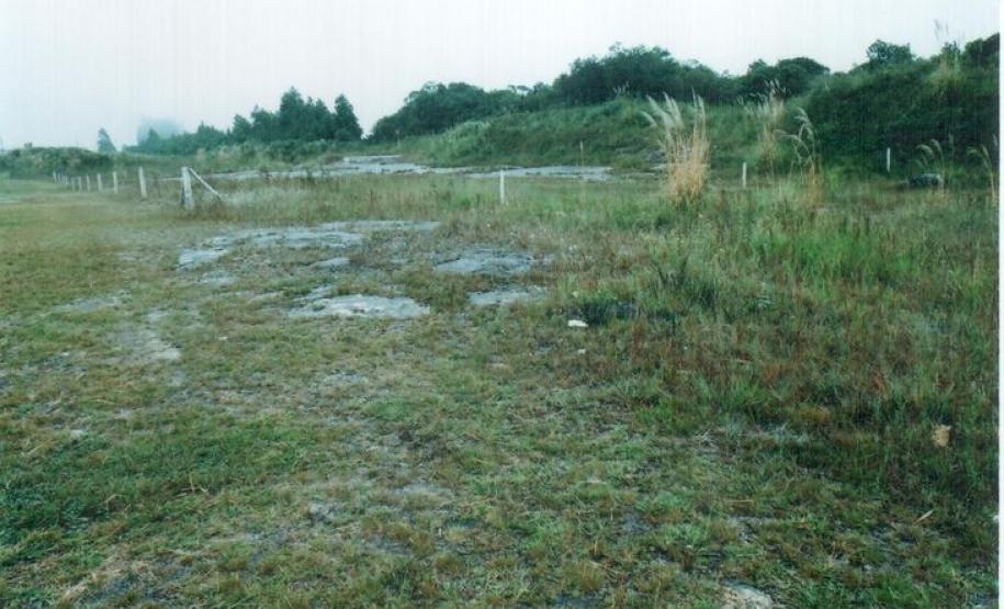 Iconofósseis Devonianos de São Luiz do Purunã - Balsa Nova