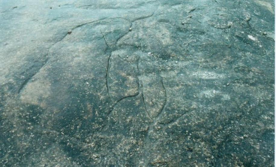 Iconofósseis Devonianos de São Luiz do Purunã - Balsa Nova