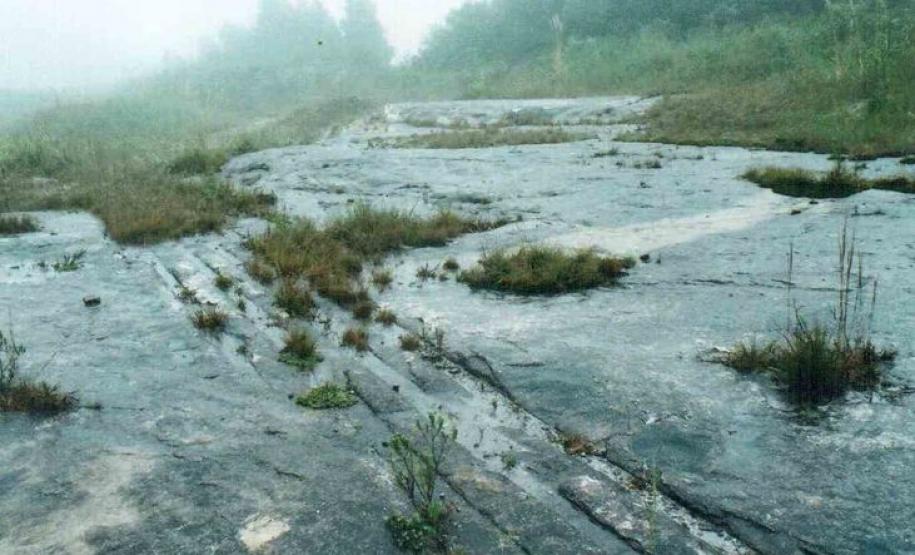 Iconofósseis Devonianos de São Luiz do Purunã - Balsa Nova