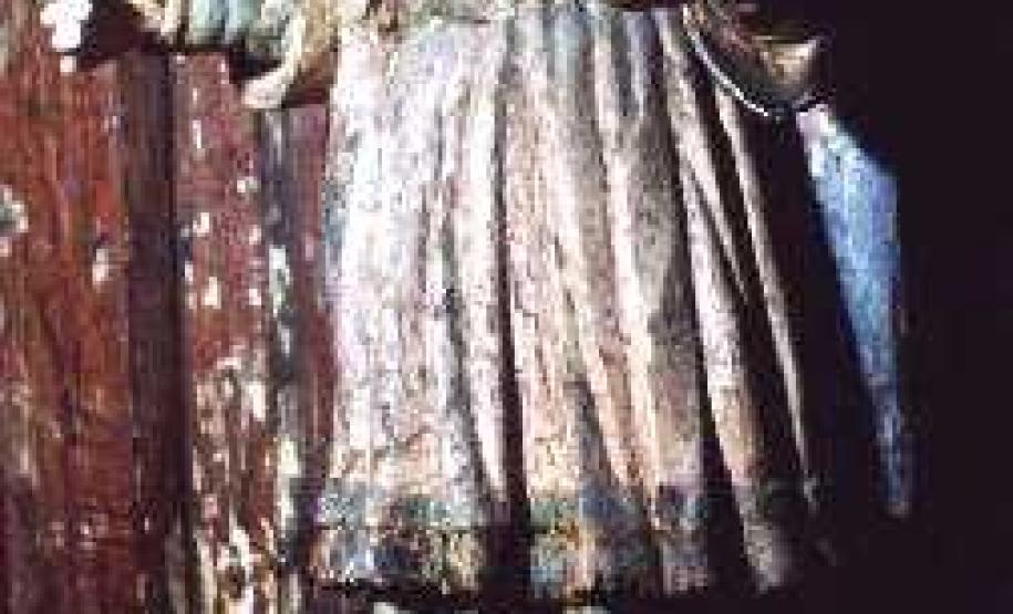 Imagem de Santa Luzia - Paranaguá