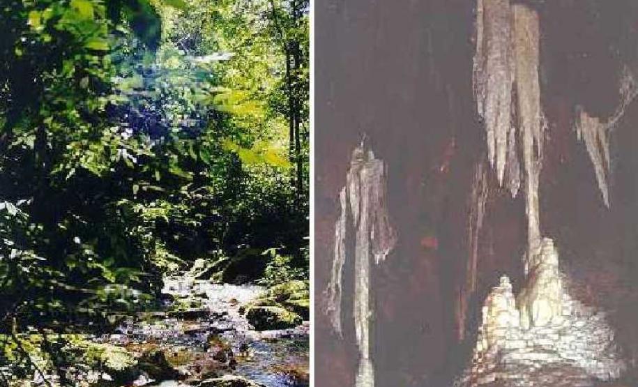 Gruta de Lancinha em Rio Branco do Sul