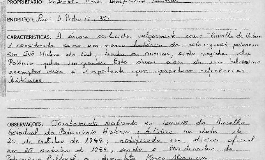 Árvore Carvalho do Unbenau em São Mateus do Sul - Livro Tombo I - Inscrição 19 - Página 19