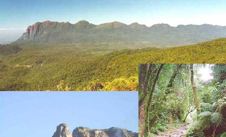Serra do Mar