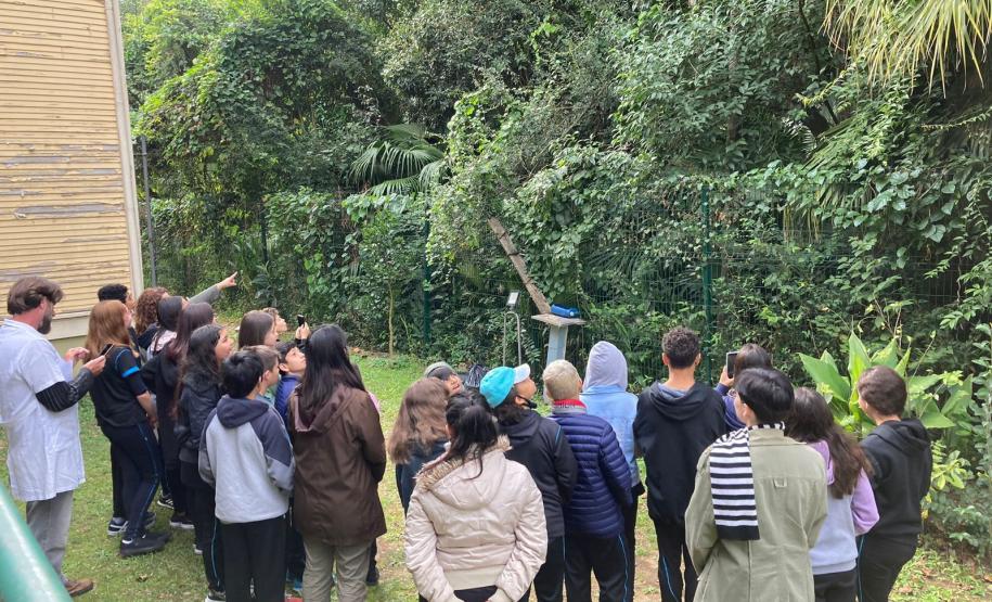 Visita mediada na Casa Gomm