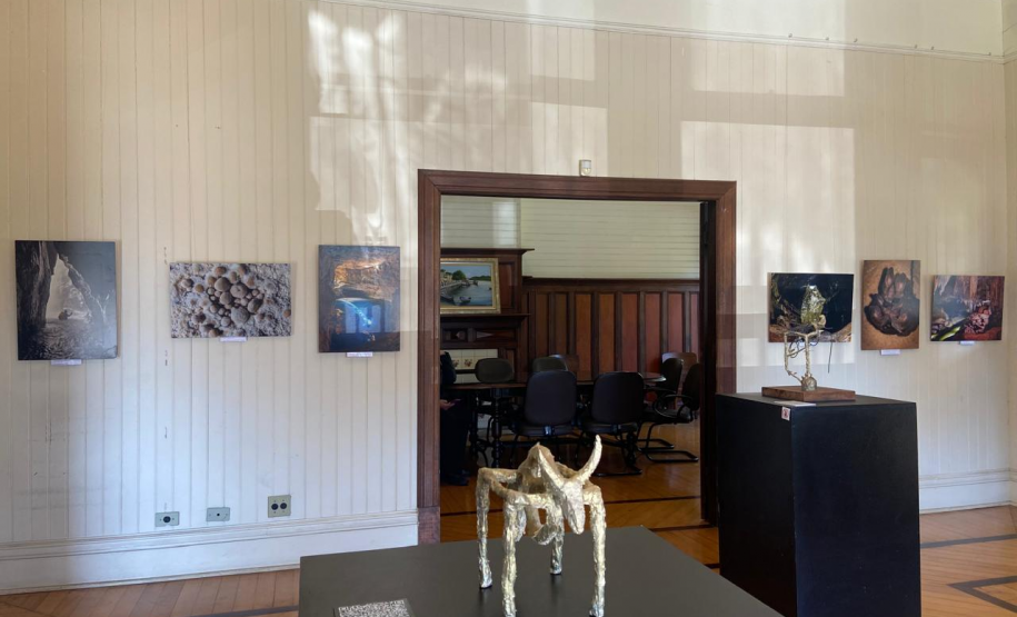 Imagem da exposição "Um olhar para o interior da Terra"