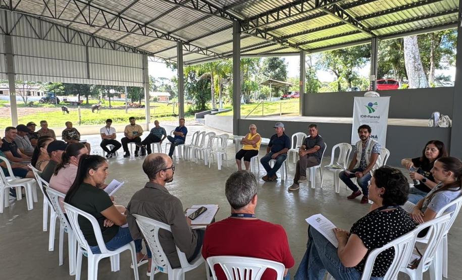 Reunião com Comunidade sobre pinheiro de Pedra